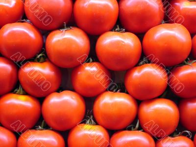 Tomato background