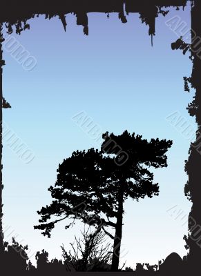 Tree Silhouette