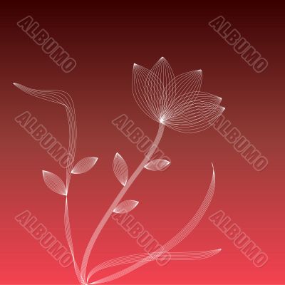 White flower on a red background