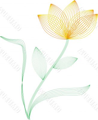 Wire frame flower
