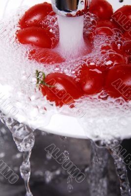 Tomatoes