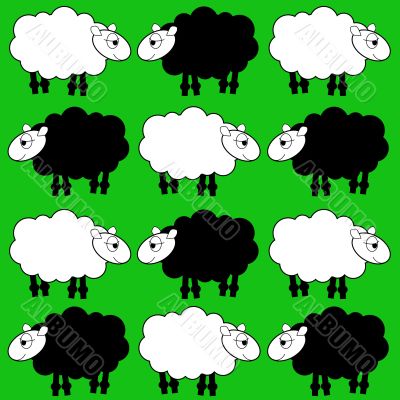 sheep cartoon