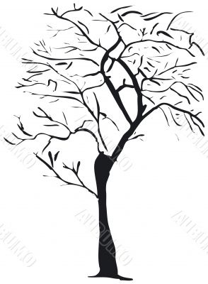 Tree silhouette