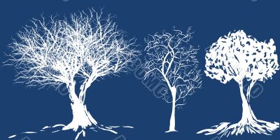 Tree silhouette