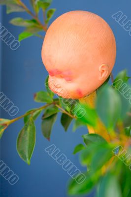 Head of baby?s doll