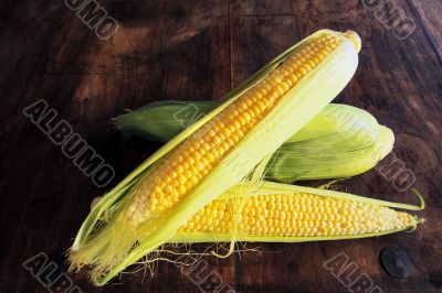 Golden Sweet Corn