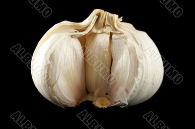 Fresh Garlic 1