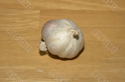 Garlic