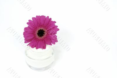 Cream with flower decoration