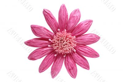 Paper flower