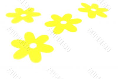 Yellow Flowers
