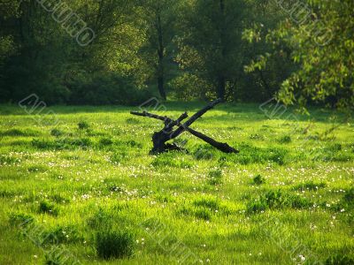 Landscape.