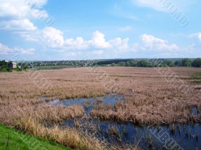Landscape.