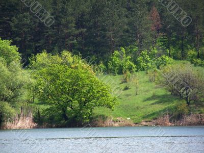 Landscape.