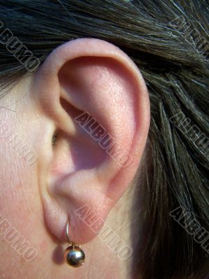 ear