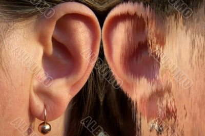 ear