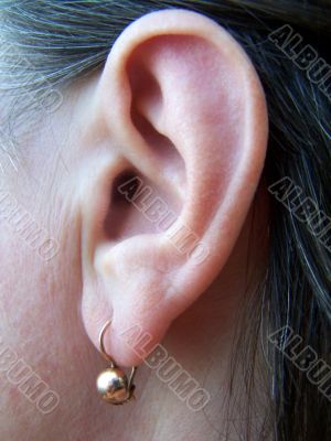 ear