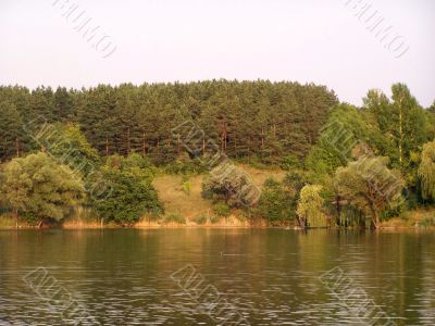 Landscape.