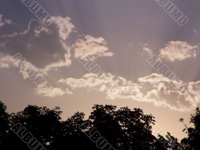 Landscape.
