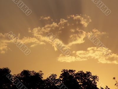 Landscape.