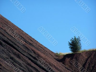 Landscape.