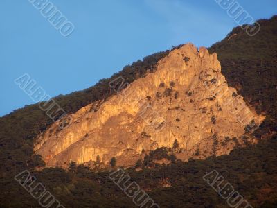 Landscape.