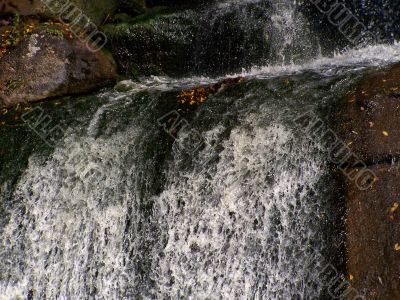 Water.