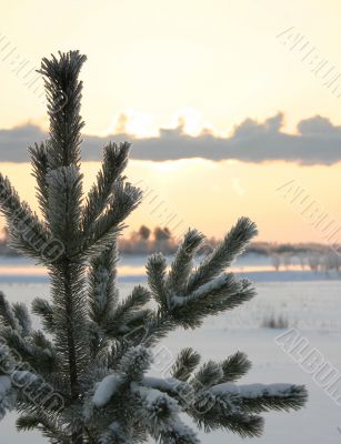 The Freezing day