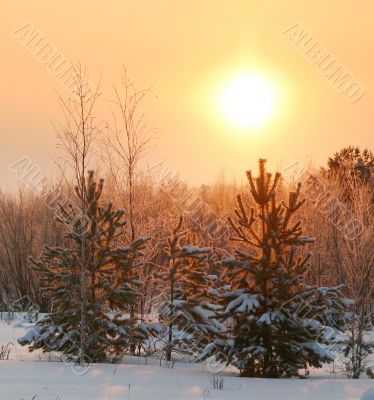 The Freezing day