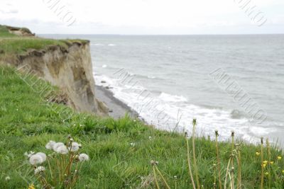 Coastline