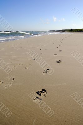 Footprint on the beach