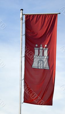 Flag in the wind