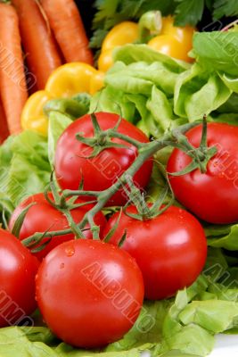 Salad