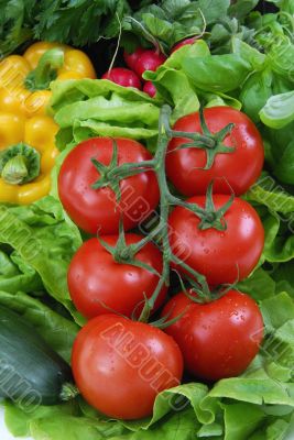Salad