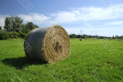 Straw ball