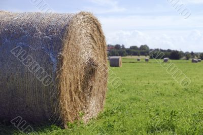 Straw ball