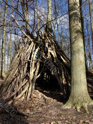 Forrest Hut