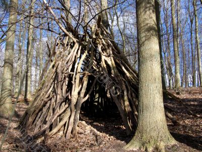 Forrest Hut