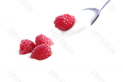 Raspberries with yogurt