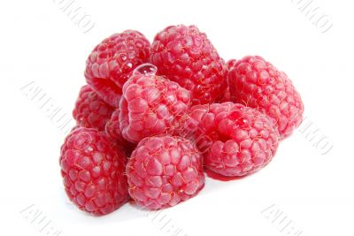 Raspberries
