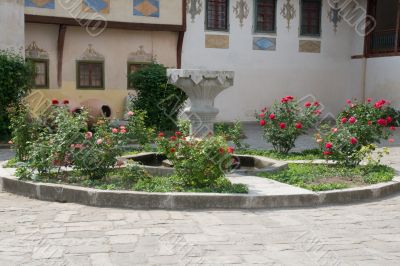Fountain and flowers