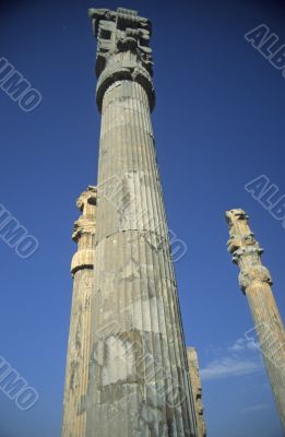 Columns, Apadana