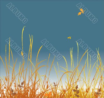 autumn grass vector background
