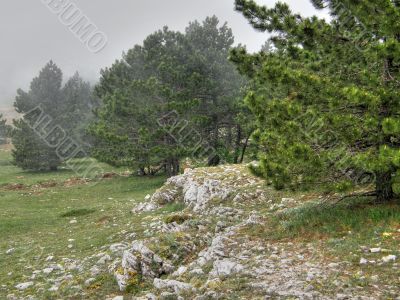 Mountain landscape. Crimea.