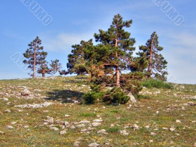 Mountain landscape. Crimea.