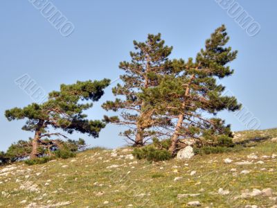 Mountain landscape. Crimea.