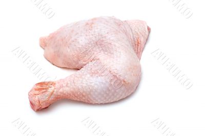 chicken leg