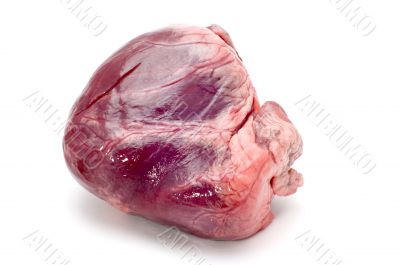 veal heart
