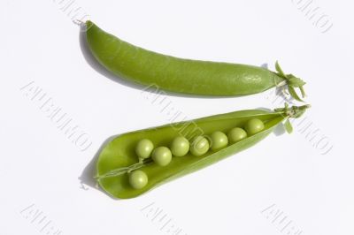 Pods of green peas