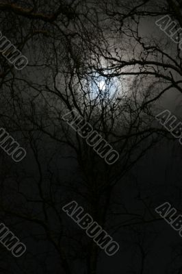 winter night road